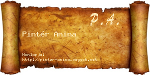 Pintér Anina névjegykártya