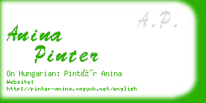 anina pinter business card